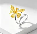 SZ03R0001-2-1.webp
