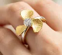 SZ03R0004-1-2.webp