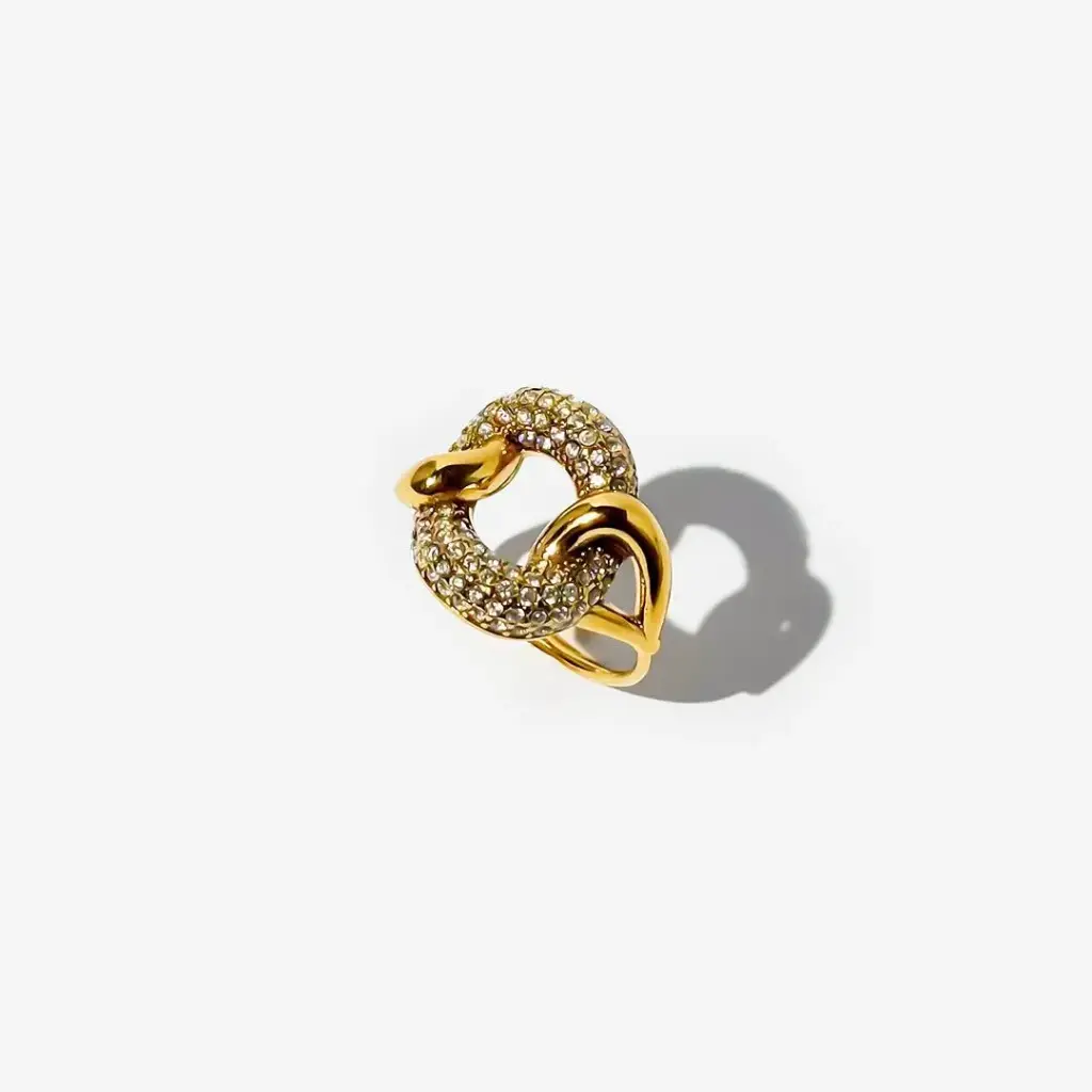 Pavé Circle Link Statement Ring (316L Stainless Steel)